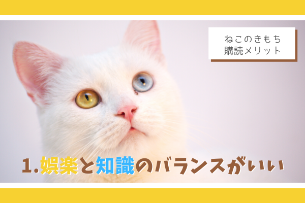 猫飼い9年目ママが思う ベネッセ ねこのきもち 購読メリット3つ もふ部