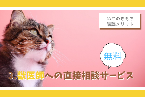 猫飼い9年目ママが思う ベネッセ ねこのきもち 購読メリット3つ もふ部