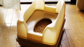インテリアになじむ 猫砂が飛び散らない 猫のコンパクトおまる式トイレ キャットワレ 5年使っている感想 もふ部