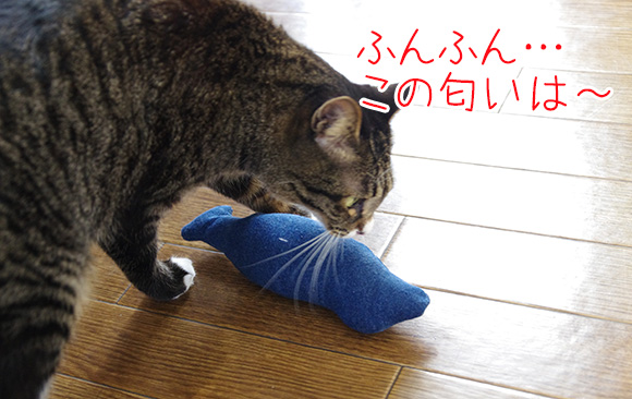 ウールサッキング対策に 猫キッカーを手作りしてみたよ もふ部