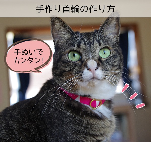 猫用手作り首輪 iMW1OQXZRc - godawaripowerispat.com