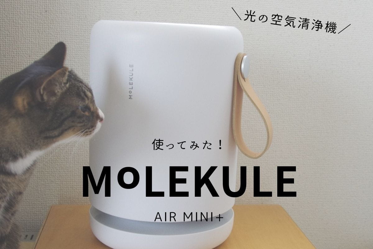 モレキュル Air Mini＋の口コミと評判！フィルター交換タイプのウィルス除去空気清浄機