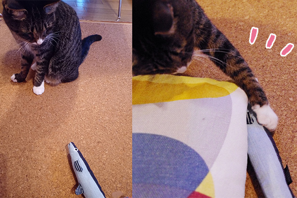 USEDo × 猫部 古着屋さんで見つけたような味わい深いデニムさかなの会にちょっかいを出して遊ぶ猫。