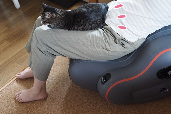 ショップジャパン販売の腹筋マシンフィットカーブを使っている時に猫がのってきました