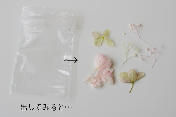 フェリシモ猫部のハーバリウムペンキットに含まれる花材。