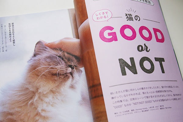 雑誌ねこのきもち2021年8月号「猫のGOODorBAD」表紙