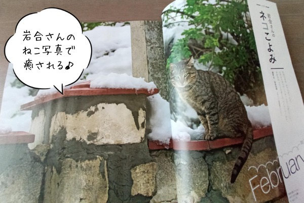 2022年2月ねこのきもち紙面紹介、写真家岩合さんの猫写真ページ