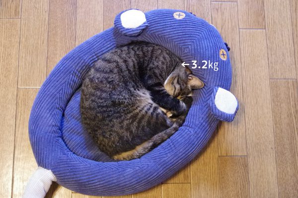 フェリシモ猫部のネズミさんベッドで丸くなって寝ている3.2㎏の成猫。
